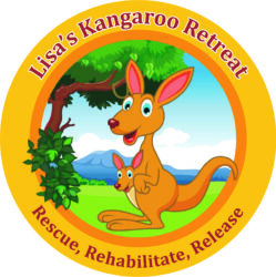 Lisa's Kangaroo Retreat Inc.